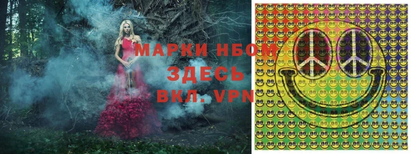 молекула духа Магадан