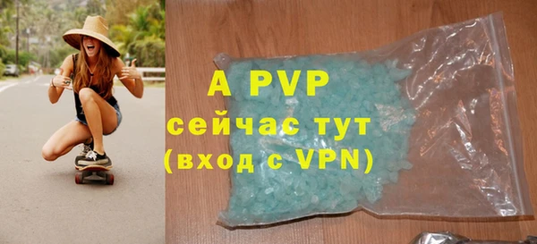 молекула духа Магадан
