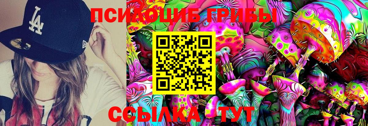 Псилоцибиновые грибы Cubensis  Галлюциногенные грибы прущие грибы  Чайковский 