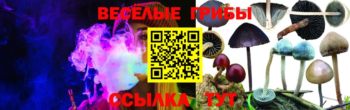 Галлюциногенные грибы GOLDEN TEACHER Чайковский